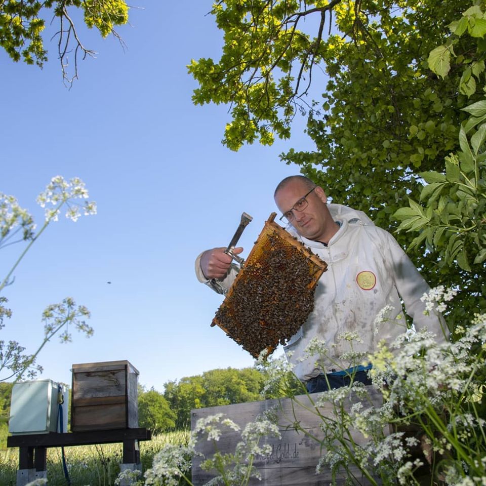 Am Bienenstand
